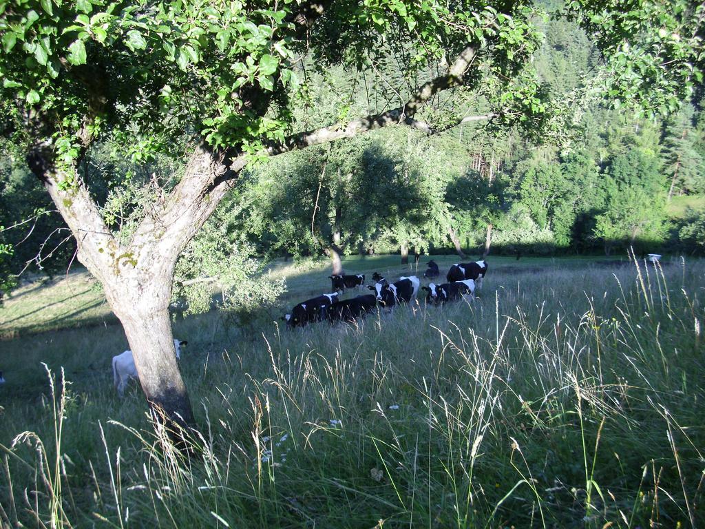Farm Stay Zagar Mozirje Dış mekan fotoğraf