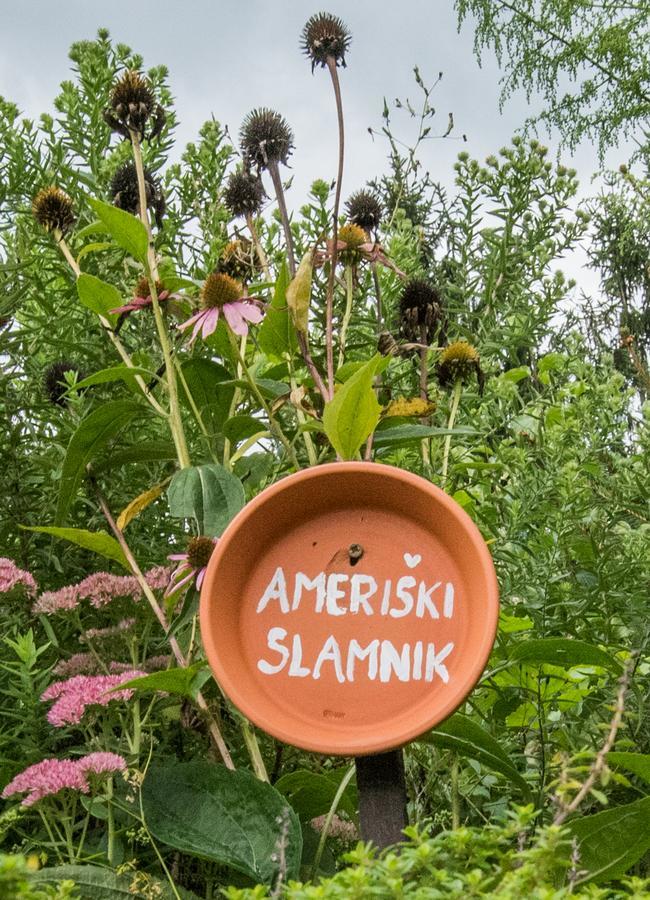 Farm Stay Zagar Mozirje Dış mekan fotoğraf